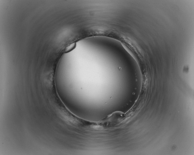 X0000094960509200711291444