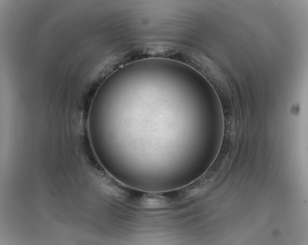 X0000094960510200711291444