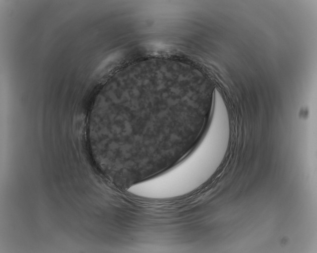 X0000094960511200711291444