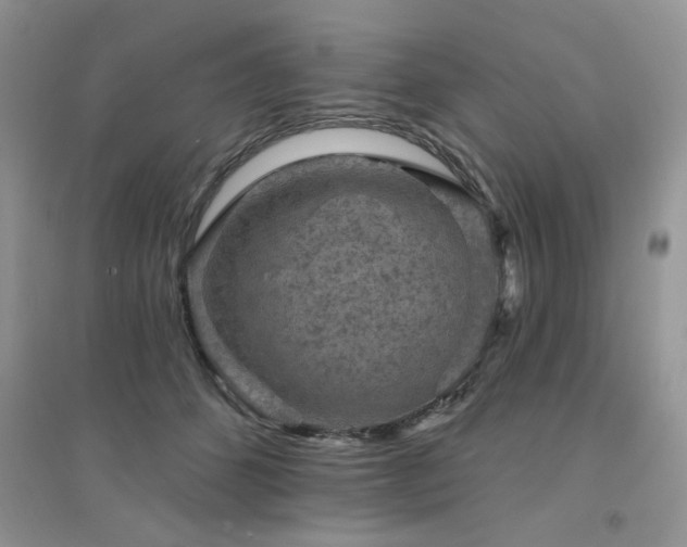 X0000094960512200711291444