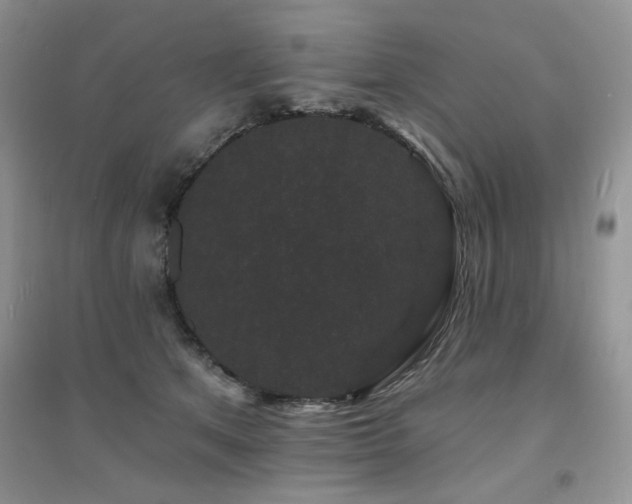 X0000094960513200711291444