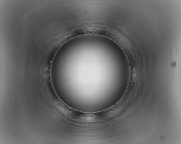 X0000094960514200711291444