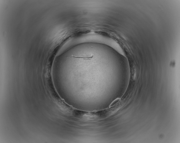 X0000094960515200711291444