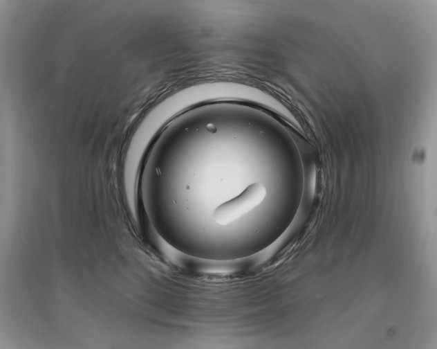 X0000094960520200711291444