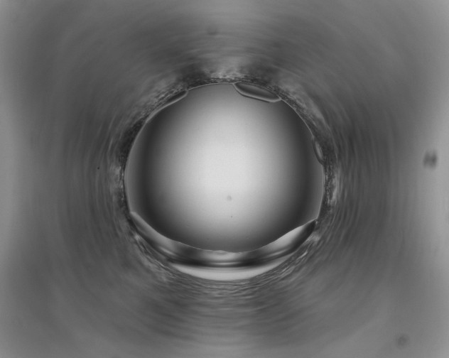 X0000094960521200711291443