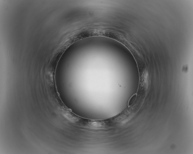 X0000094960522200711291443