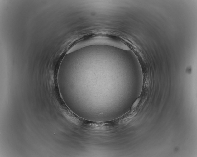 X0000094960524200711291443