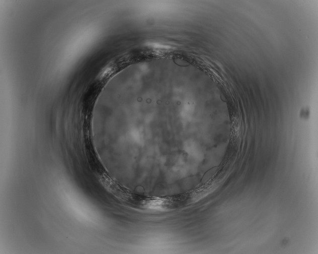 X0000094960527200711291443