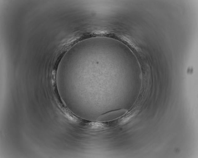 X0000094960528200711291443