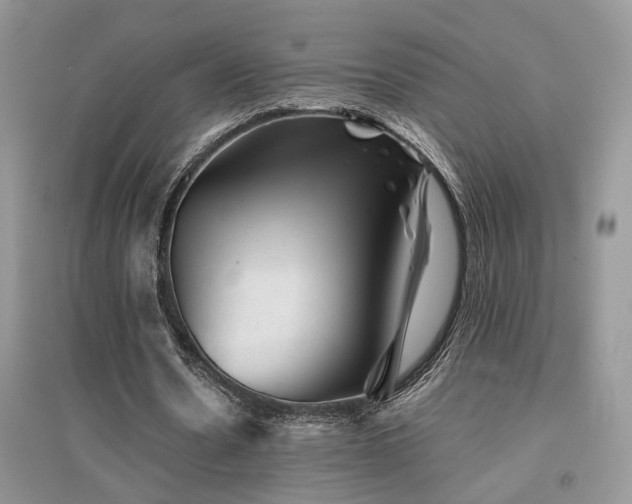 X0000094960530200711291443