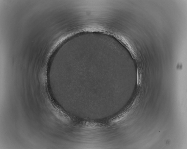 X0000094960531200711291443