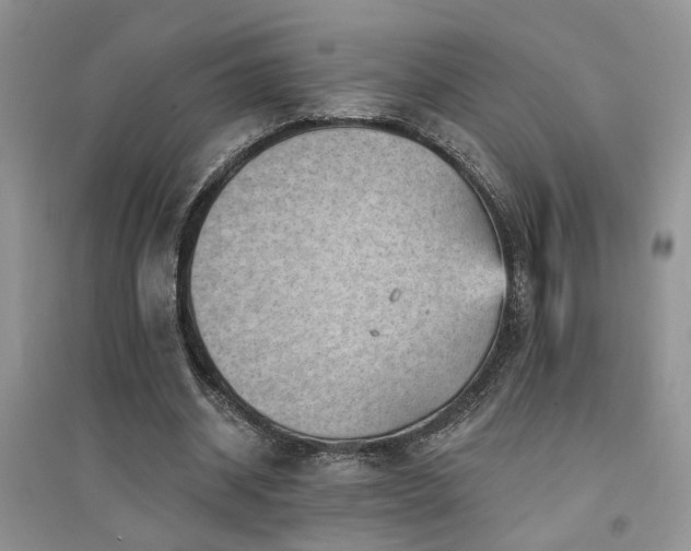 X0000094960534200711291443