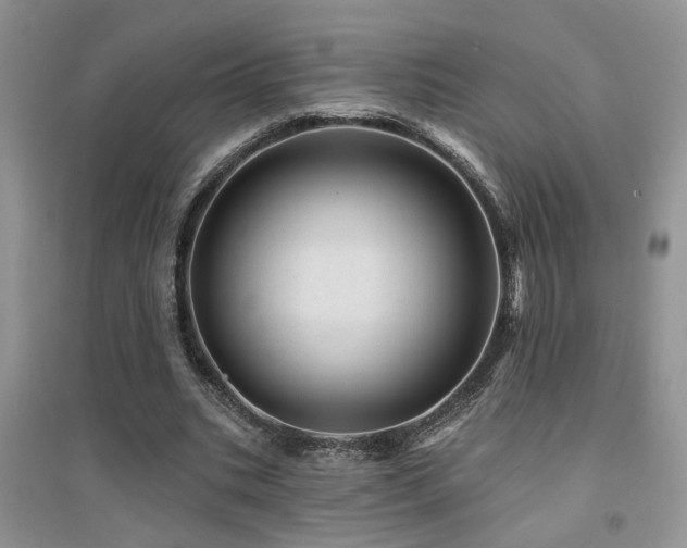 X0000094960535200711291443