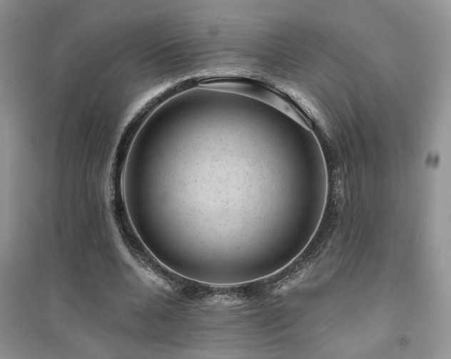 X0000094960536200711291443