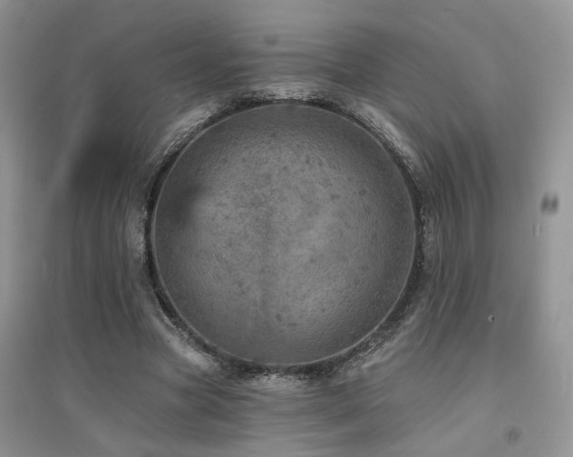 X0000094960537200711291443