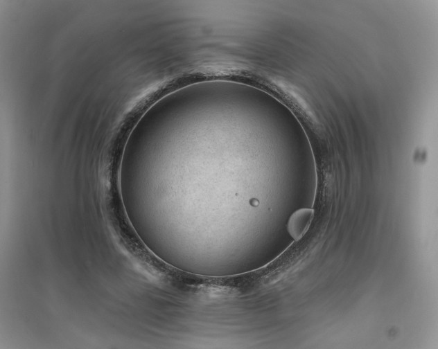 X0000094960539200711291443