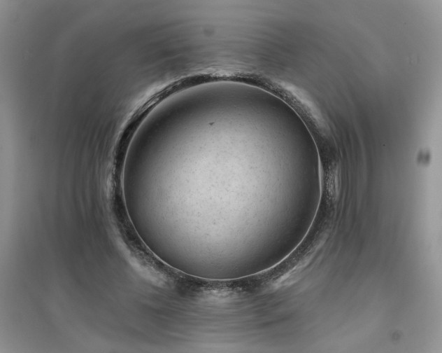 X0000094960540200711291443