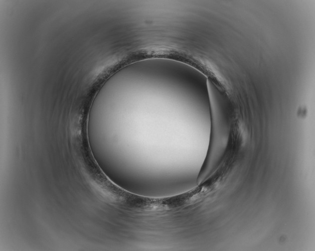 X0000094960543200711291443