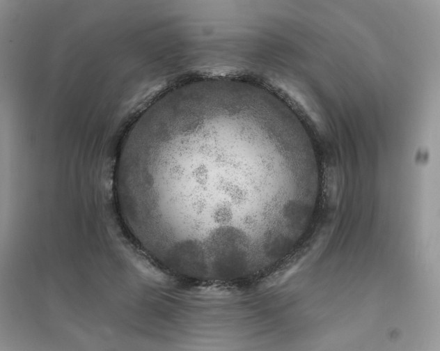 X0000094960545200711291443