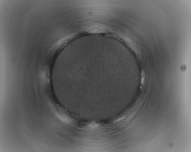 X0000094960547200711291443