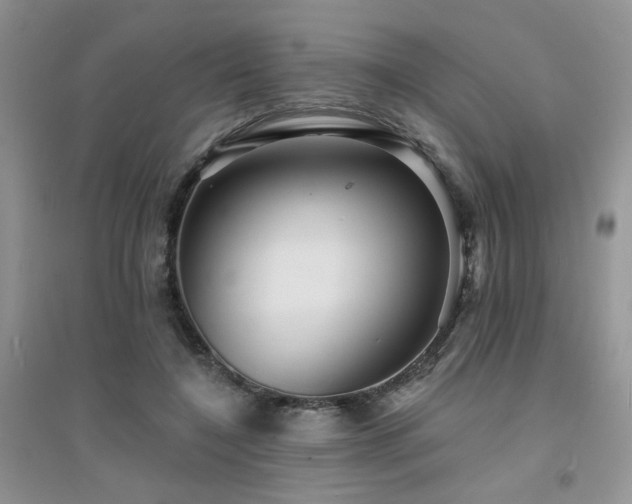 X0000094960548200711291443