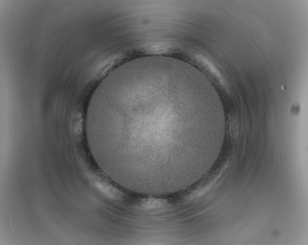 X0000094960549200711291443