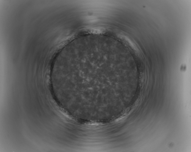 X0000094960553200711291443