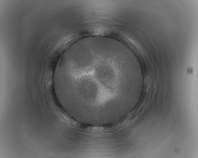 X0000094960554200711291443