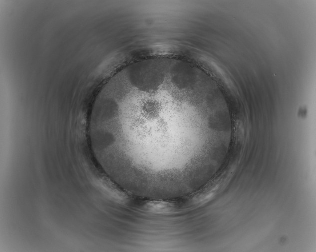 X0000094960557200711291443