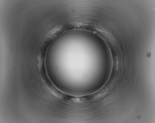 X0000094960558200711291443