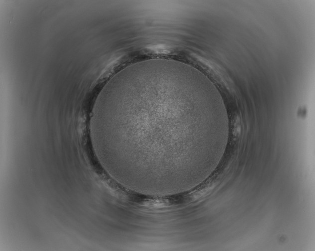 X0000094960559200711291443