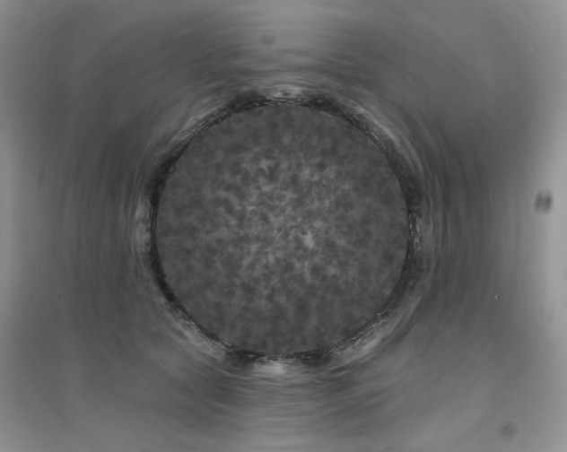 X0000094960561200711291443