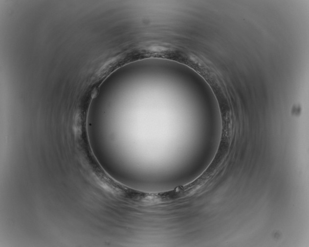 X0000094960562200711291443