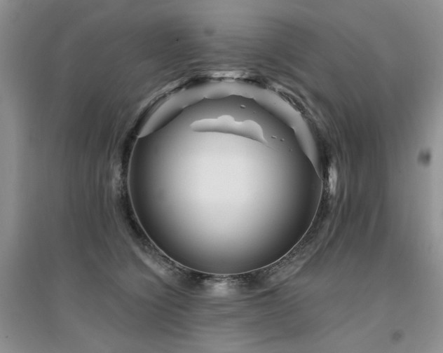 X0000094960564200711291443