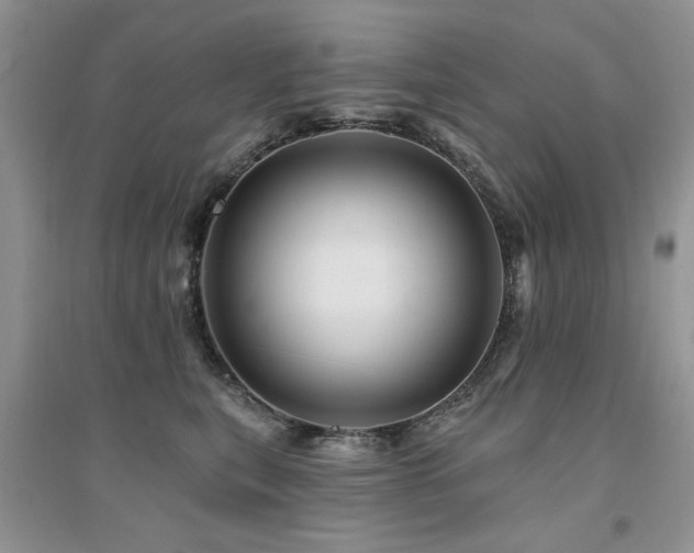 X0000094960567200711291443