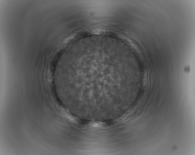 X0000094960569200711291443