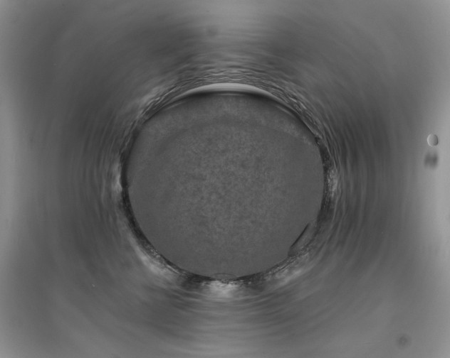 X0000094960570200711291443