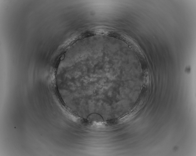 X0000094960573200711291443