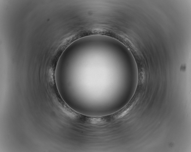 X0000094960575200711291443