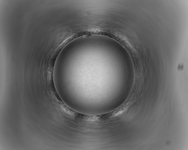 X0000094960576200711291443