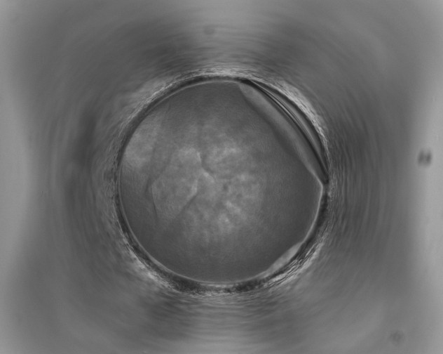 X0000094960577200711291443