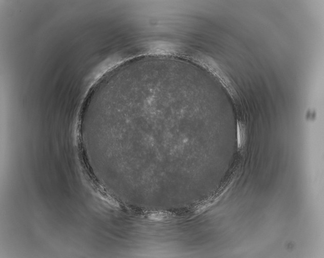 X0000094960579200711291443