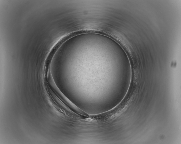 X0000094960580200711291443