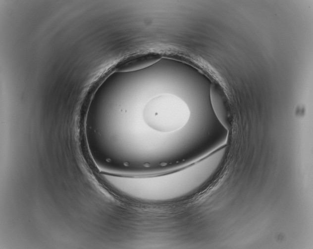 X0000094960581200711291443