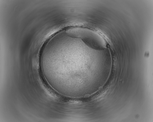 X0000094960582200711291443