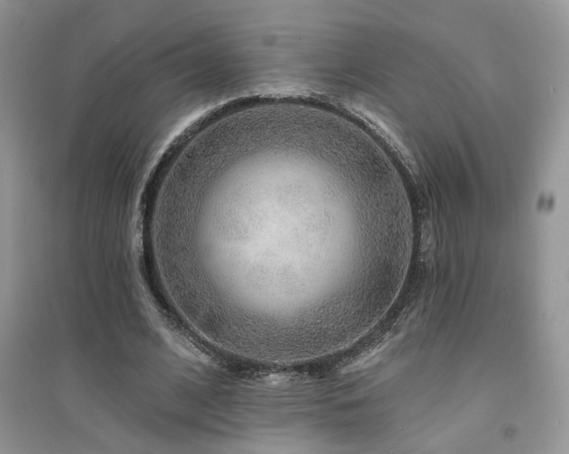 X0000094960584200711291443