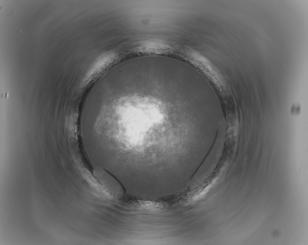 X0000094960585200711291443