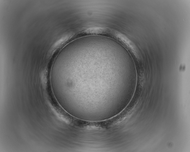 X0000094960586200711291443