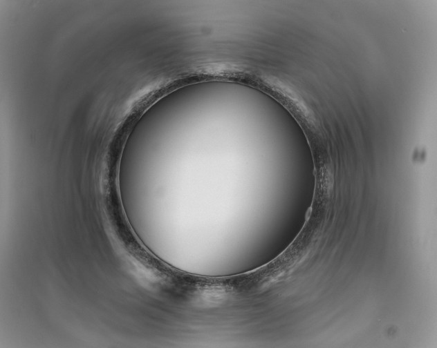 X0000094960587200711291443