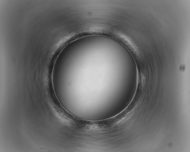 X0000094960588200711291443